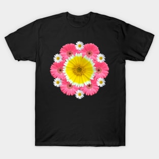 gerbera blossoms flower daisies flowery bloom T-Shirt